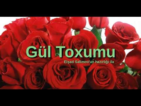 Mənalı Hekayə - Gül Toxumu (bir gülün hekayəsi) - HD