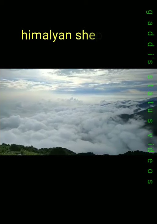 Chimbiye tu ta jati ri chimbi
