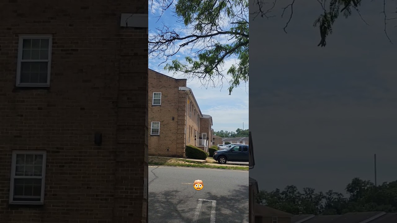 Floating Spinning Leaf! 😱