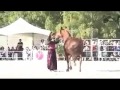 vid 20131220 wa0027