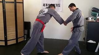 Sinmoo Hapkido Foundations: Episode 42 - Following the Punch (Cross #1)