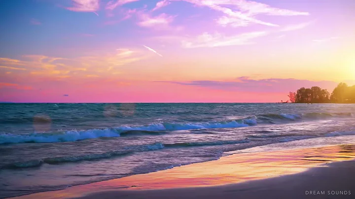 4k Palm Forest on the Beach. Relaxing Ocean Waves, Nature Sounds, Ocean Sounds for Sleep Meditation