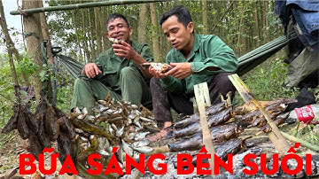 BỮA SÁNG ĐI CÂU CÁ BÊN BỜ SUỐI-TỰ THỢ RỪNG 