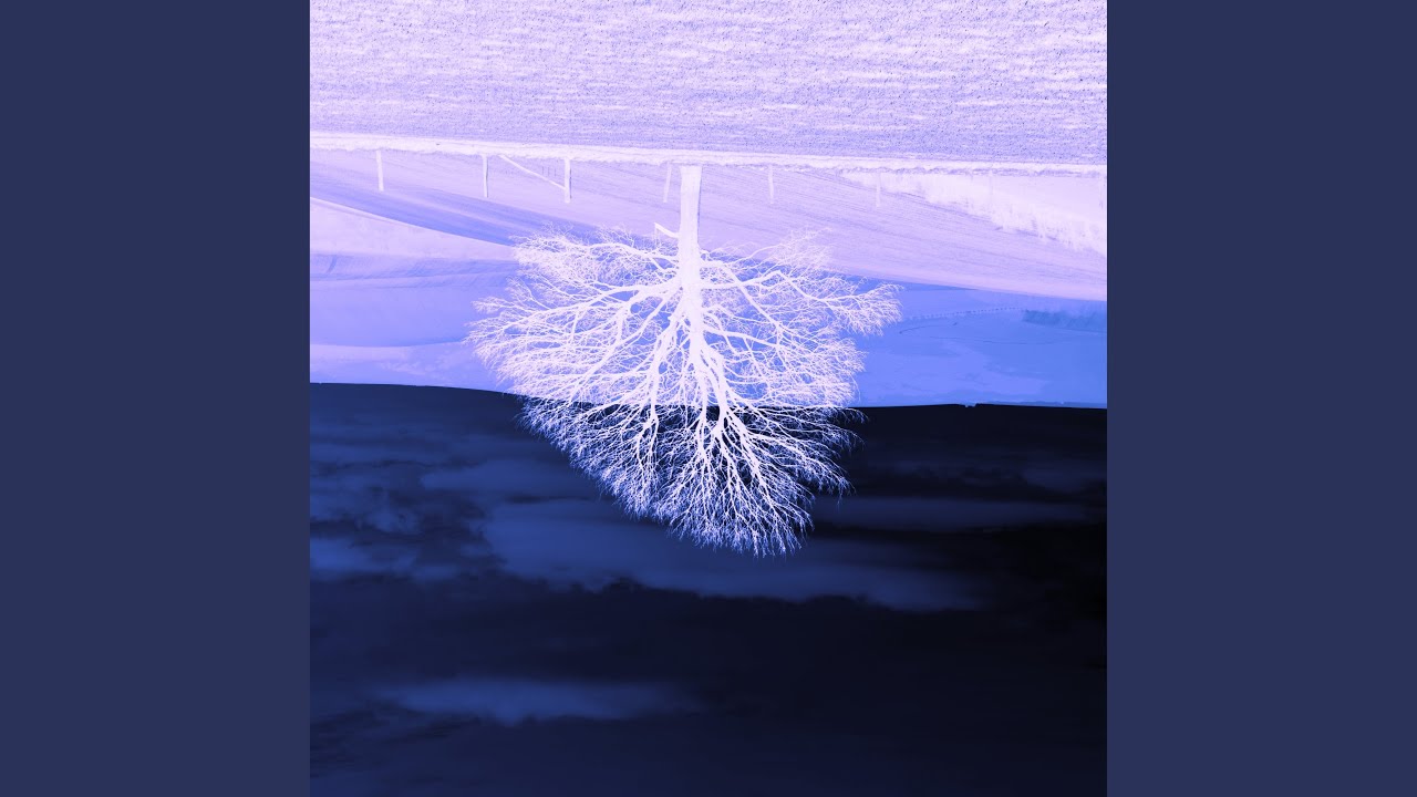 8848 Meters Above Sea Level