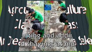 Life Skills Academy - LSA