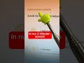 500€ werden verschenkt!
