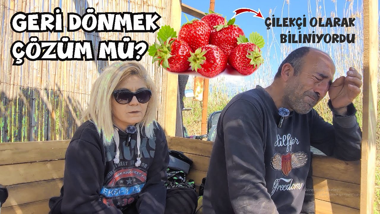 ЧТО СЛУЧИЛОСЬ С бухгалтером, который переехал из Стамбула в Дальян 5 лет назад? (трудные съемки)