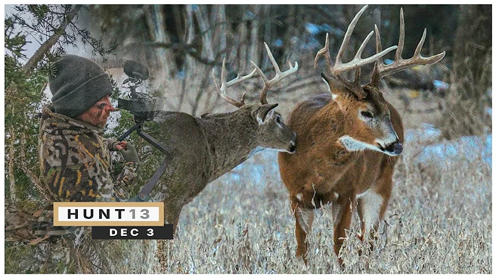 The Most Aggressive (AND COLD!) Hunt of the Season