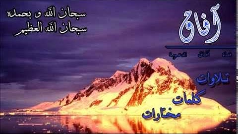 الوتر + الدعاء للقارئ معاذ العيد