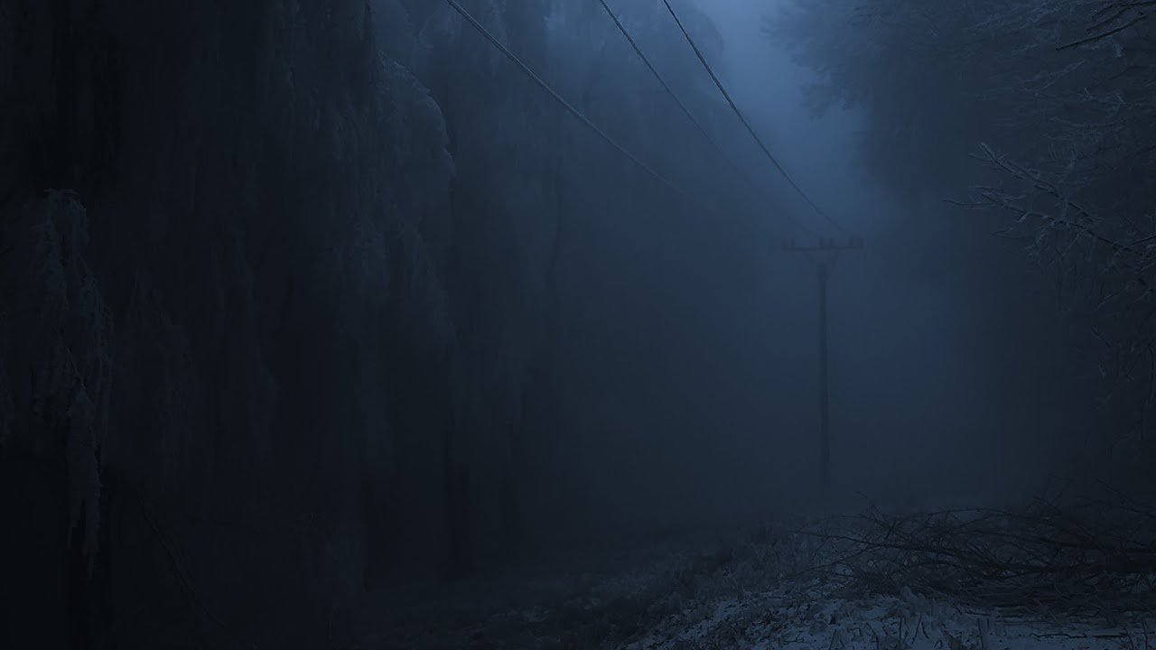 Frozen Forest | Calm Winter Wind & Frost | Cracking Trees | 3 HOURS