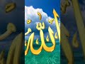 #trustonallah #likeandsubscribe