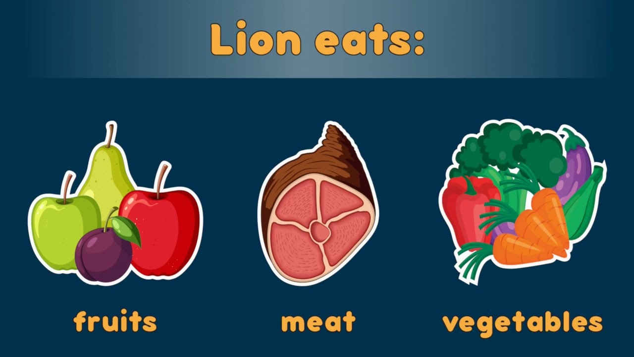 Preschool quiz | Kids General Knowledge | Kids IQ Video | Kids IQ Test for Free with answers