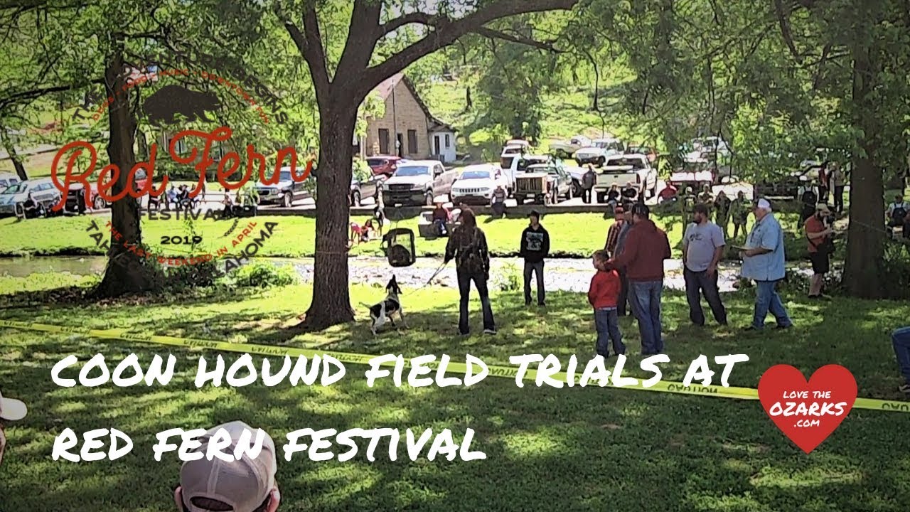 Red Fern Festival Coon Hound Competition YouTube
