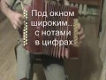 Под окном широким...с нотами в цифрах.