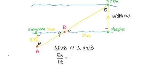 Use similar triangles to determine the width of a river