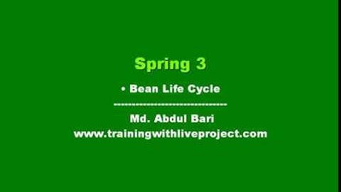 Spring Framework Class Lecture(Bean Life cycle)- Class 11