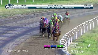 Vidéo de la course PMU PREMIO BAGO
