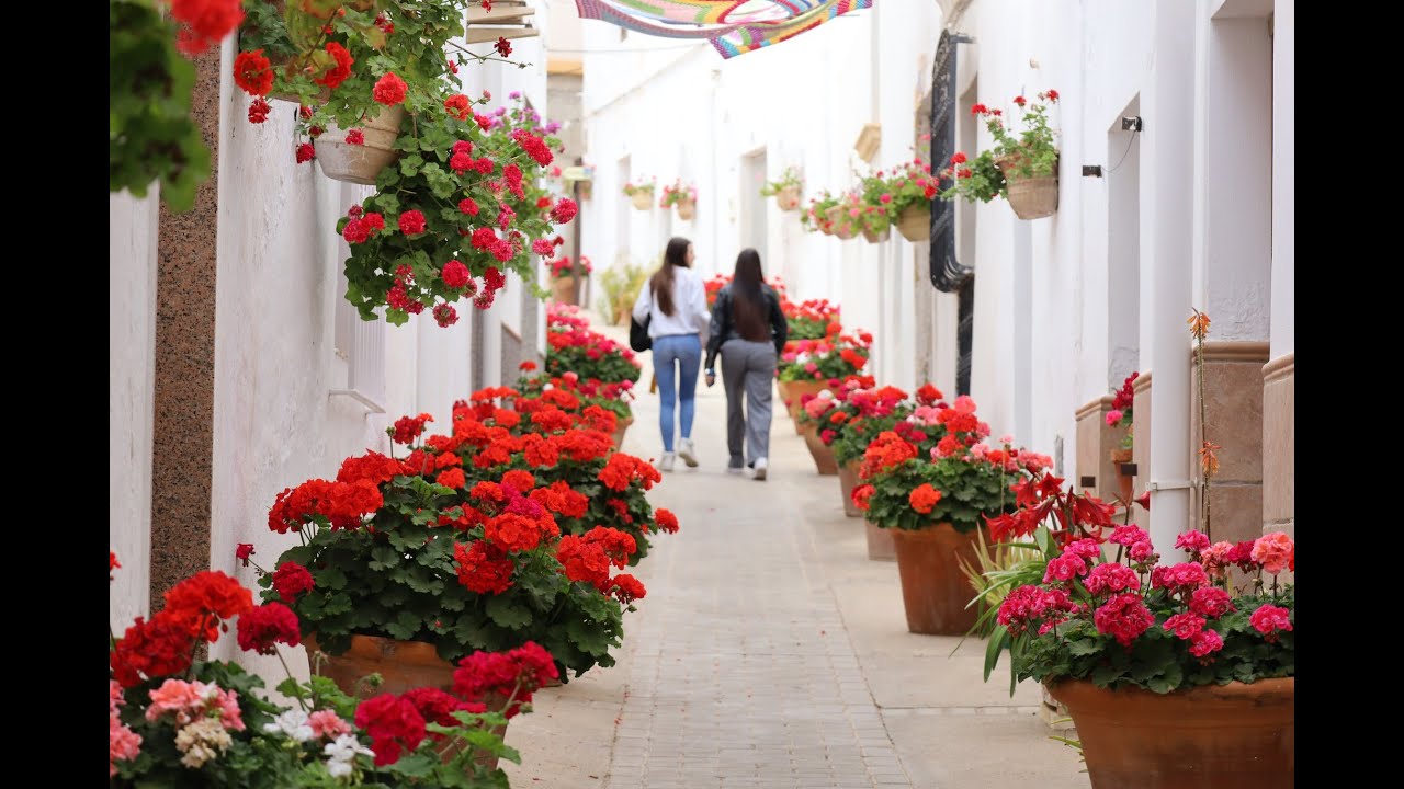LUCAINENA DE LAS TORRES. DIA DE LAS FLORES 2024