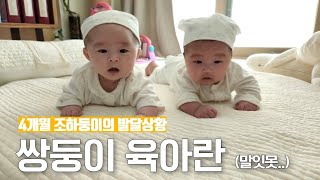 쌍둥이 3~4개월 육아일기/ 발달상황/ 육아일상👶