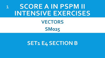 Vectors SM025 SET 1 E4 (B) - SCORE A in PSPM II
