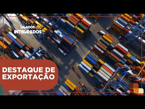 Carne de frango representa 14,5% das exportações paranaenses | Ligados&Integrados - 14/02/2024