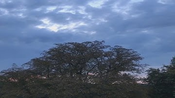 4-سورة النور - الآية (43)