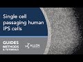 Allen Cell Methods: Single cell passaging human iPS cells