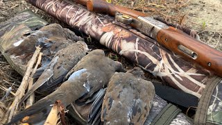 Dove Hunting In South Georgia Two Limits  and a Close Encounter With a Water Moccasin 2023