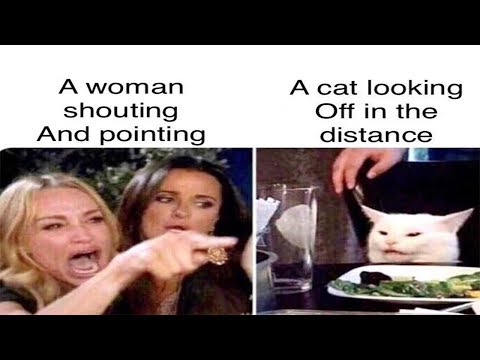 woman-yelling-at-a-cat-meme-compilation-v2