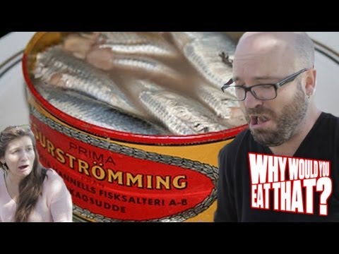 Surströmming! You Asked, We Delivered - Why Would You Eat That?
