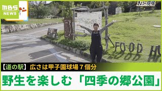 「地元食材×野生を楽しむ」...広さは甲子園球場７個分！グルメ・アクティビティを大満喫できる道の駅『四季の郷公園ＦＯＯＤ ＨＵＮＴＥＲ ＰＡＲＫ』【現場から生中継】（2023年10月6日）