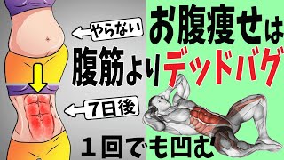 壮快　2015.8月号　お腹ぺったんこ超特急ダイエット 壮快 2015.8月号 お腹ぺったんこ超特急ダイエット 壮快 2015.8月号