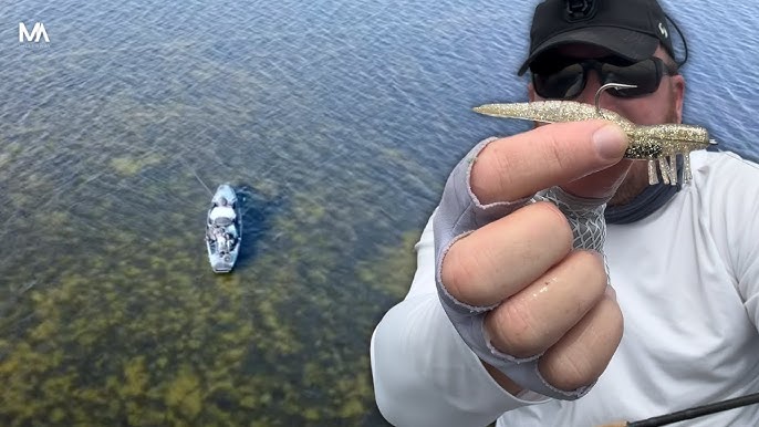 BEST SHRIMP LURE EVER? TESTING THE FAMOUS DOA SHRIMP! 