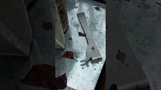 Hived 2 packages of bees today 4/23/26 Willow, Alaska warm 45°F. Now if I can keep the bears out 😁