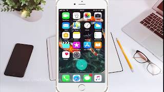 How to enable or disable Voiceover audio ducking on iPhone 6