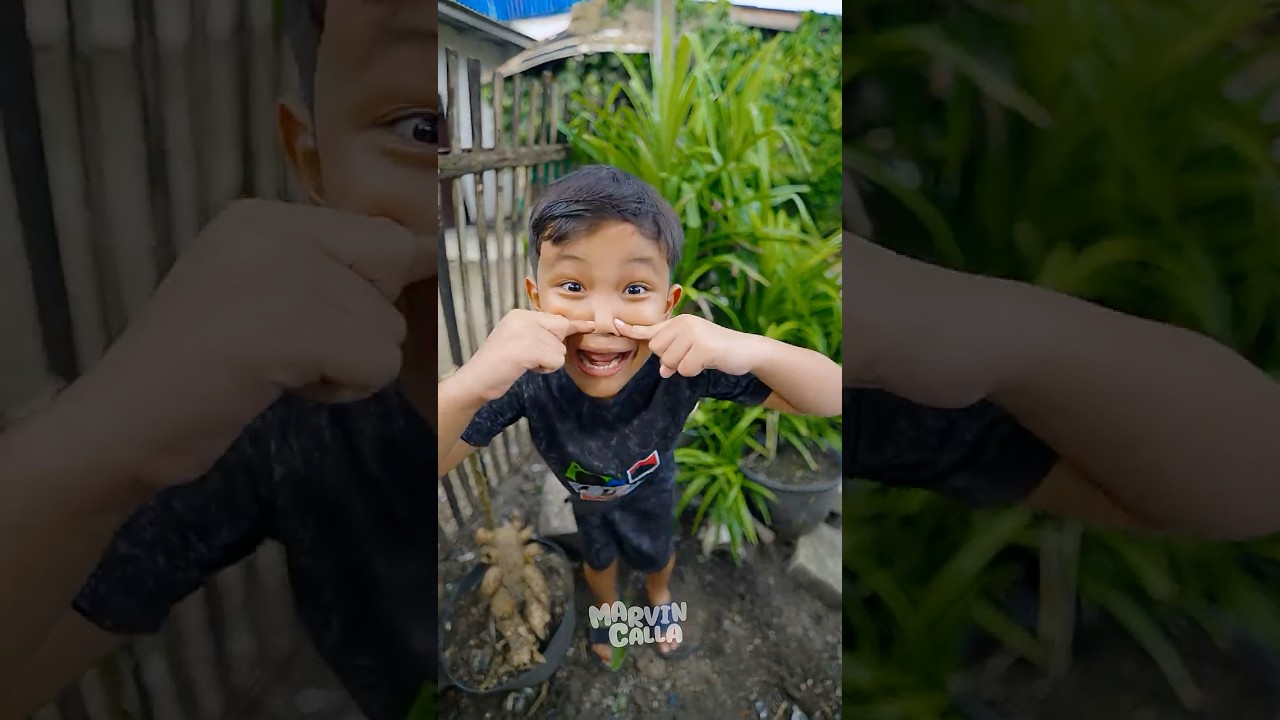 Abang AL & Dontol gagal terus 😂 #marvincalla