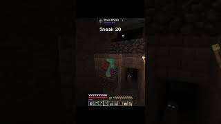 YUNG's Better Dungeons, seriously great mod  #minecraft #minecraftmods #minecraftsurvival