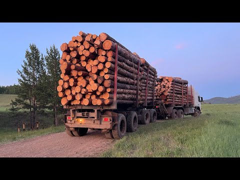 Volvo logging truck. A trip with my partner)