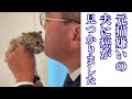 【2025年冬】働き詰めの夫の体にとうとう‥猫達に力をもらう日々☆シロさんは猫吸いさせてくれるようになりました！