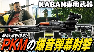 【タルコフ】KABAN専用武器！新ライトマシンガンPKMの弾幕と狙撃で絶望を与える【ゆっくり実況】