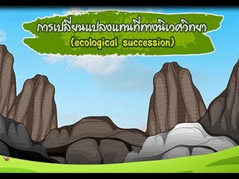 วีดีโอ: การเปลี่ยนแปลงสามประเภทคืออะไร?