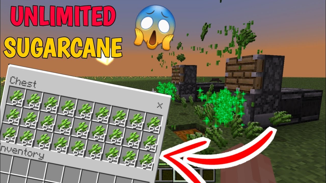 Minectaft illegal Op Farm