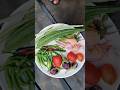 Harvesting tamatar pure fresh and organic veggies from terrace garden