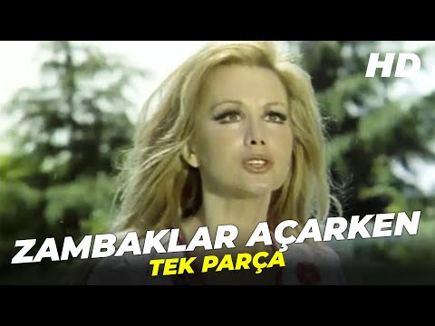 Zambaklar Açarken | Filiz Akın Eski Türk Filmi
