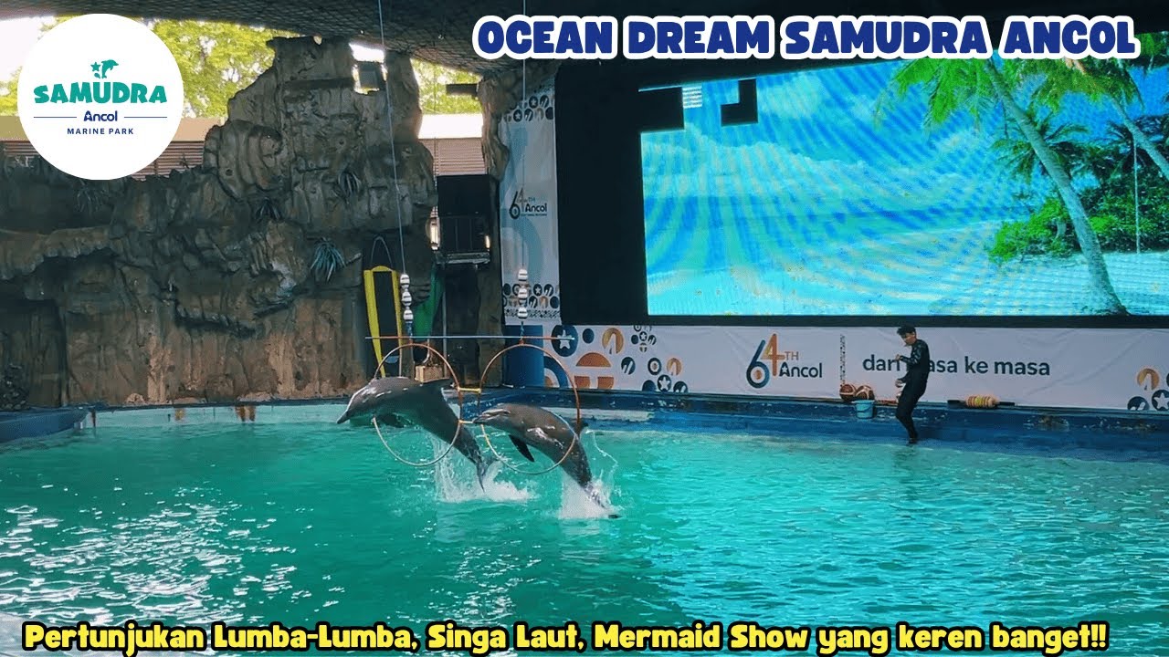OCEAN DREAM SAMUDRA ANCOL‼️ REKOMENDASI WISATA KELUARGA