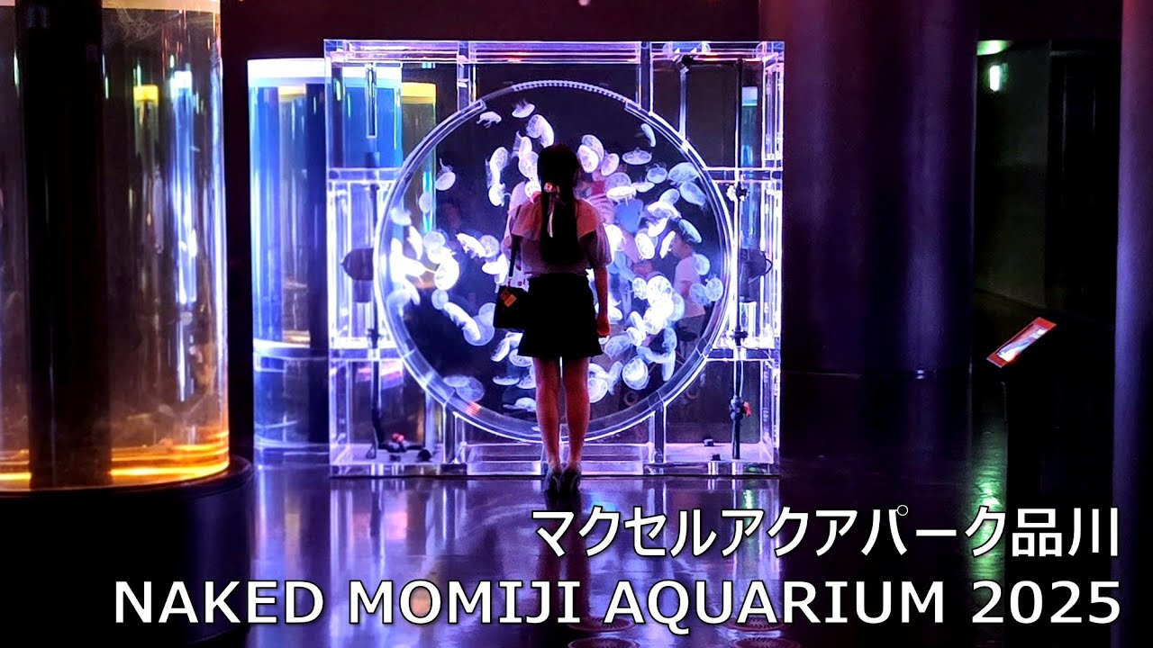 マクセルアクアパーク品川 NAKED MOMIJI AQUARIUM 2025