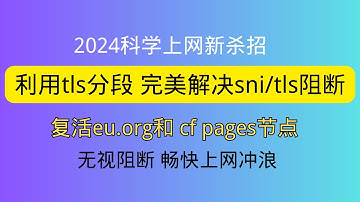 2024科学上网新杀招 强大的tls分段（分片）功能，让被sni阻断的节点复活，拯救你的eu.org 和cf page节点，无视sni阻断