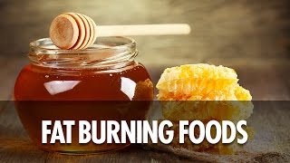 7 Most Effective Fat Burning Foods - Silent Scholar