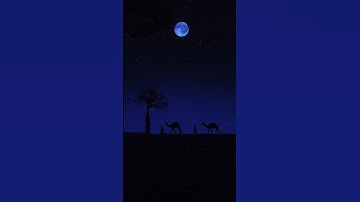 فاصبر صبر جميلا إِنهُمْ يروْنهُ بَعيدا وَنَرَئه قَريبًا /القارئ حمزة بوديب