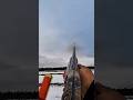 одна охота на снежного гуся #snowgoose #birdshunt #duckhunt